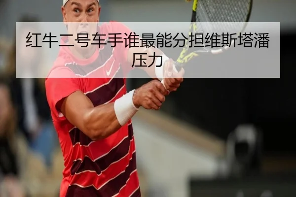 红牛二号车手谁最能分担维斯塔潘压力